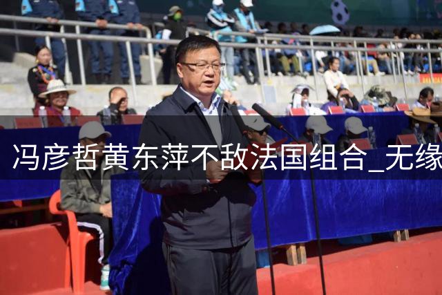 冯彦哲/黄东萍不敌法国组合 无缘世锦赛混双冠军