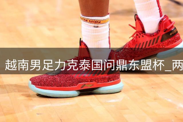 越南男足力克泰国问鼎东盟杯 两回合展现过硬实力